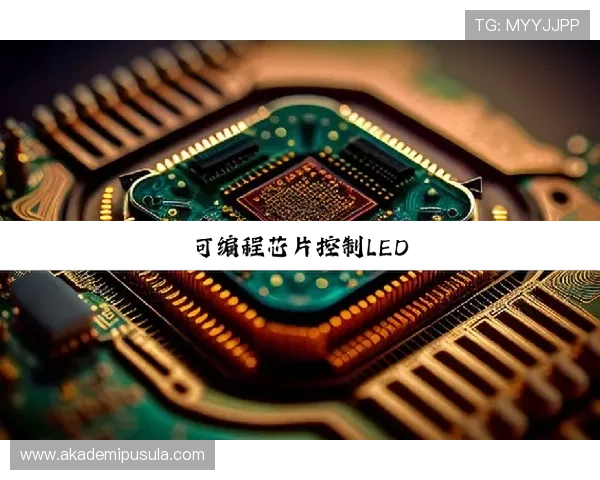 尊龙集团登录入口网站官网官方平台全面介绍与操作流程